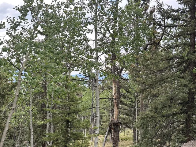 $75,000 | 1928 Wells Fargo Circle, Jefferson, CO 80456