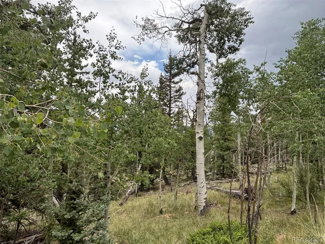 $75,000 | 1928 Wells Fargo Circle, Jefferson, CO 80456