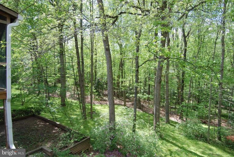 11731 Quay Road Oakton, VA 22124 - Photo 21 of 29 Wooded View / Acreage