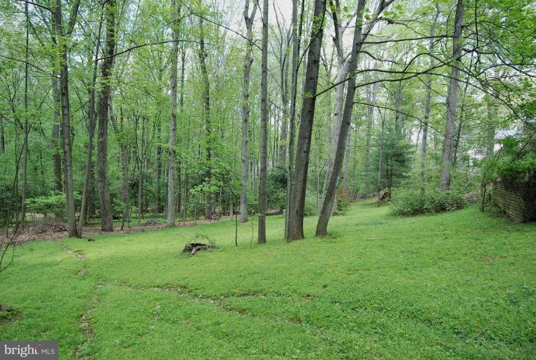 11731 Quay Road Oakton, VA 22124 - Photo 23 of 29 Back yard