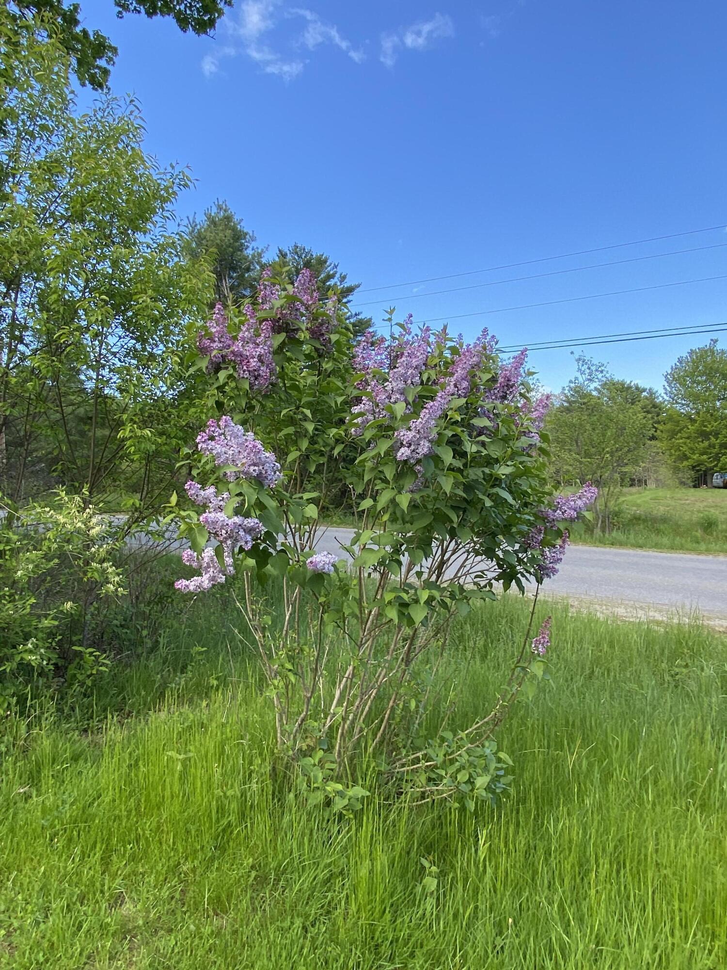 140 Fahi Pond Road Anson, ME 04958 - Photo 45 of 45 IMG_6688