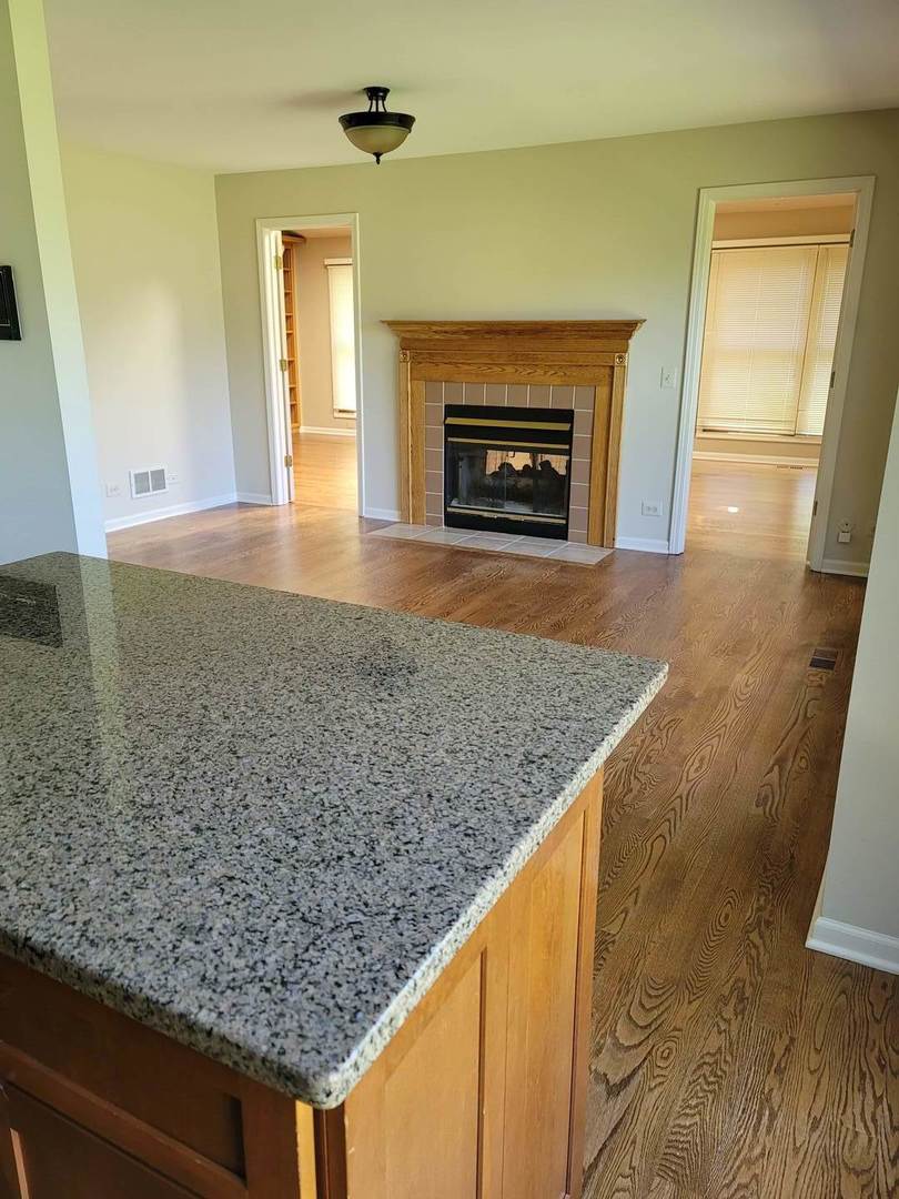 950 Ripple Brook Lane Elgin, IL 60120 - Photo 12 of 38 a view of an empty room and fire place