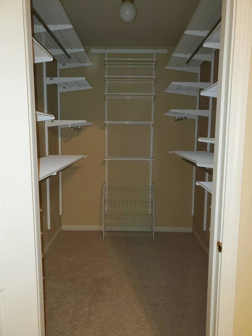 950 Ripple Brook Lane Elgin, IL 60120 - Photo 21 of 38 a view of an empty walk in closet