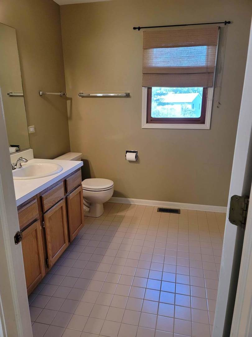 950 Ripple Brook Lane Elgin, IL 60120 - Photo 22 of 38 a bathroom with a sink a toilet and mirror