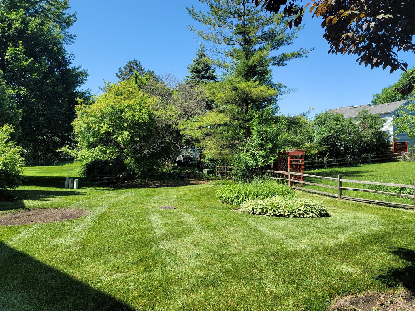 950 Ripple Brook Lane Elgin, IL 60120 - Photo 36 of 38 a view of a park with a tree