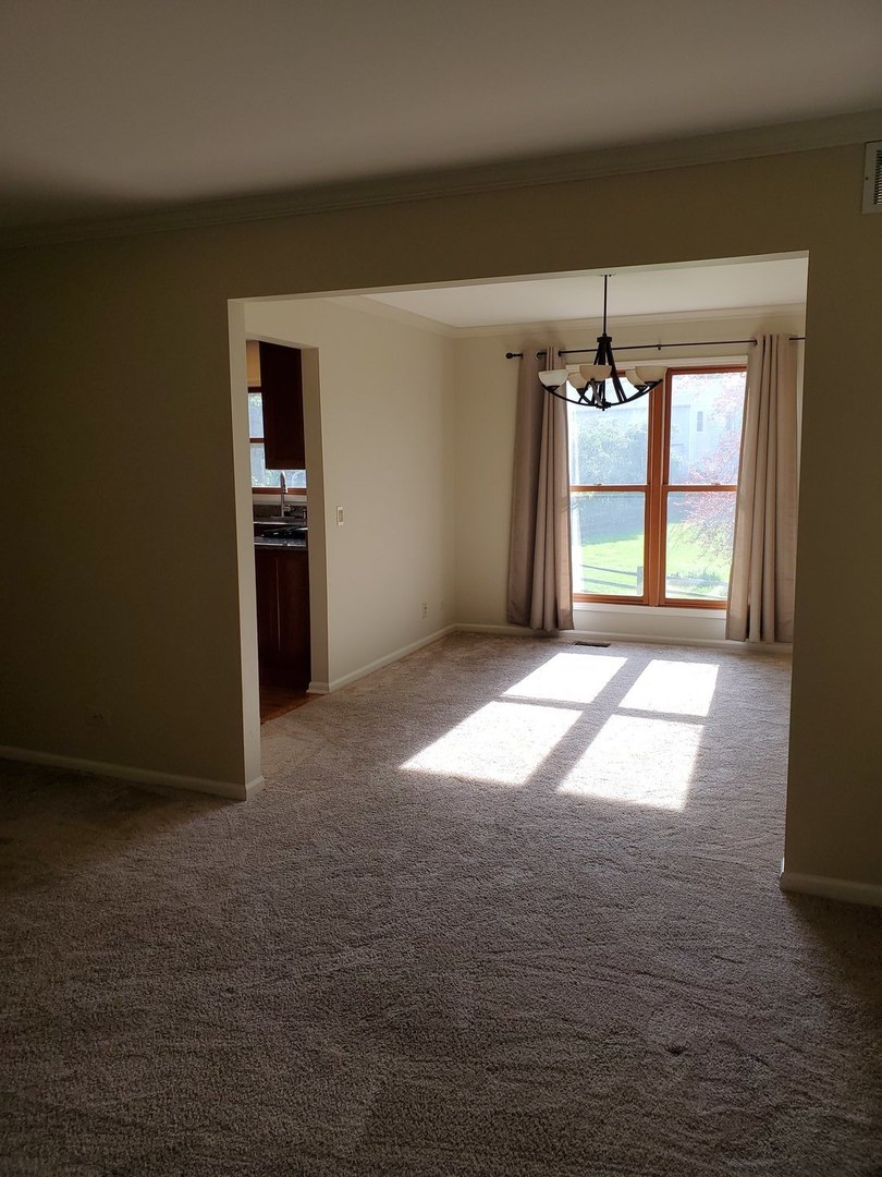 950 Ripple Brook Lane Elgin, IL 60120 - Photo 8 of 38 an empty room with windows