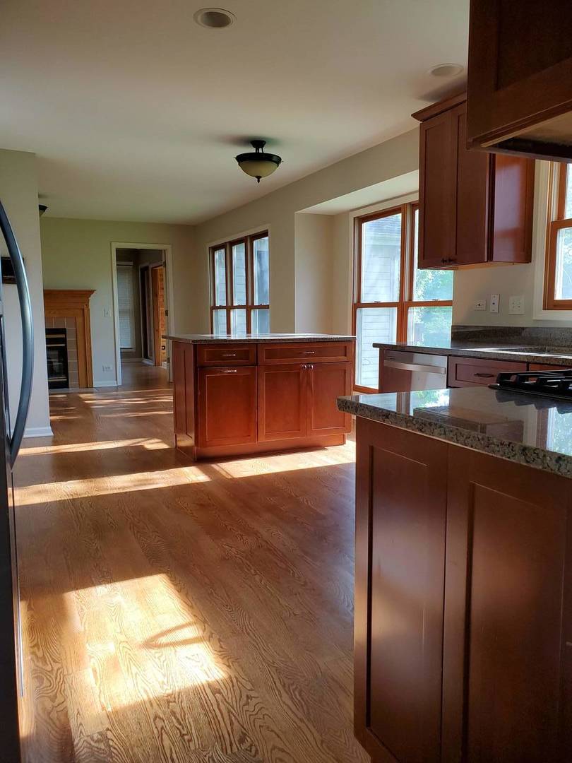 950 Ripple Brook Lane Elgin, IL 60120 - Photo 9 of 38 a kitchen with granite countertop a stove a sink and a refrigerator