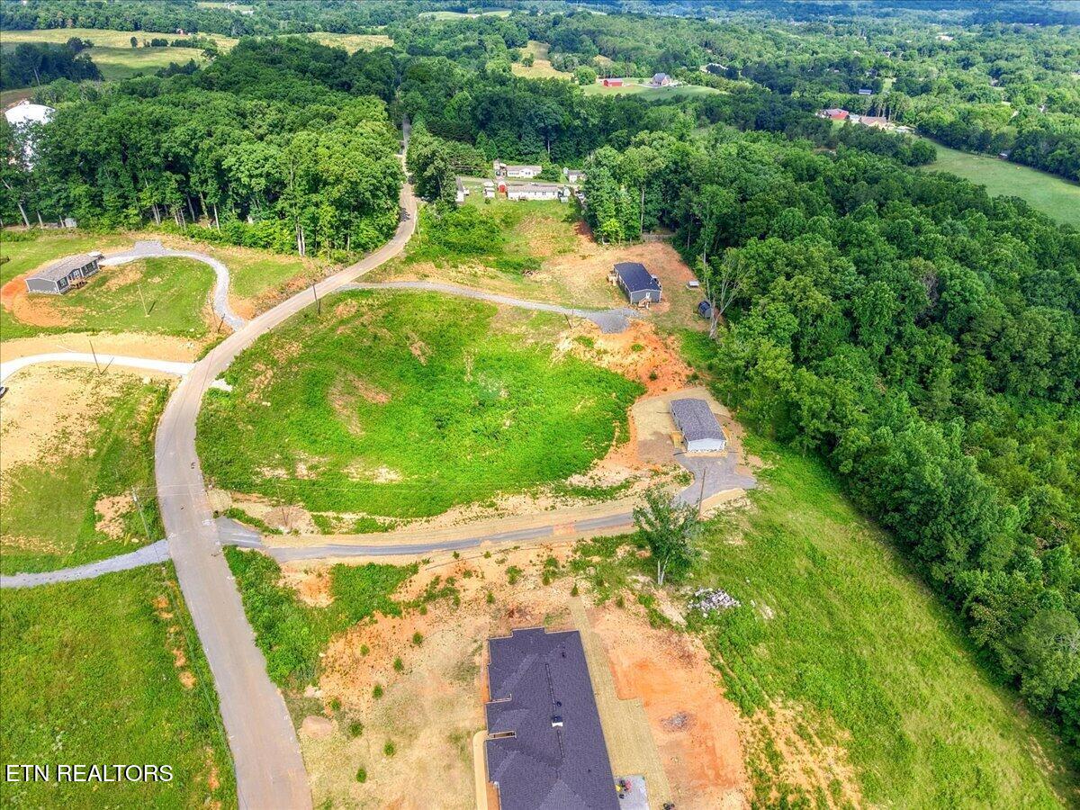 189 Laura Boling Loop Road Strawberry Plains, TN 37871 - Photo 31 of 32 33-189 Laura Boling Loop Rd 30