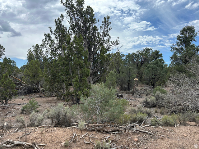 St, Unit 1 & 2 Modena, UT 84753 - Photo 62 of 69 Mature trees and natural vegetation on a sloped terrain