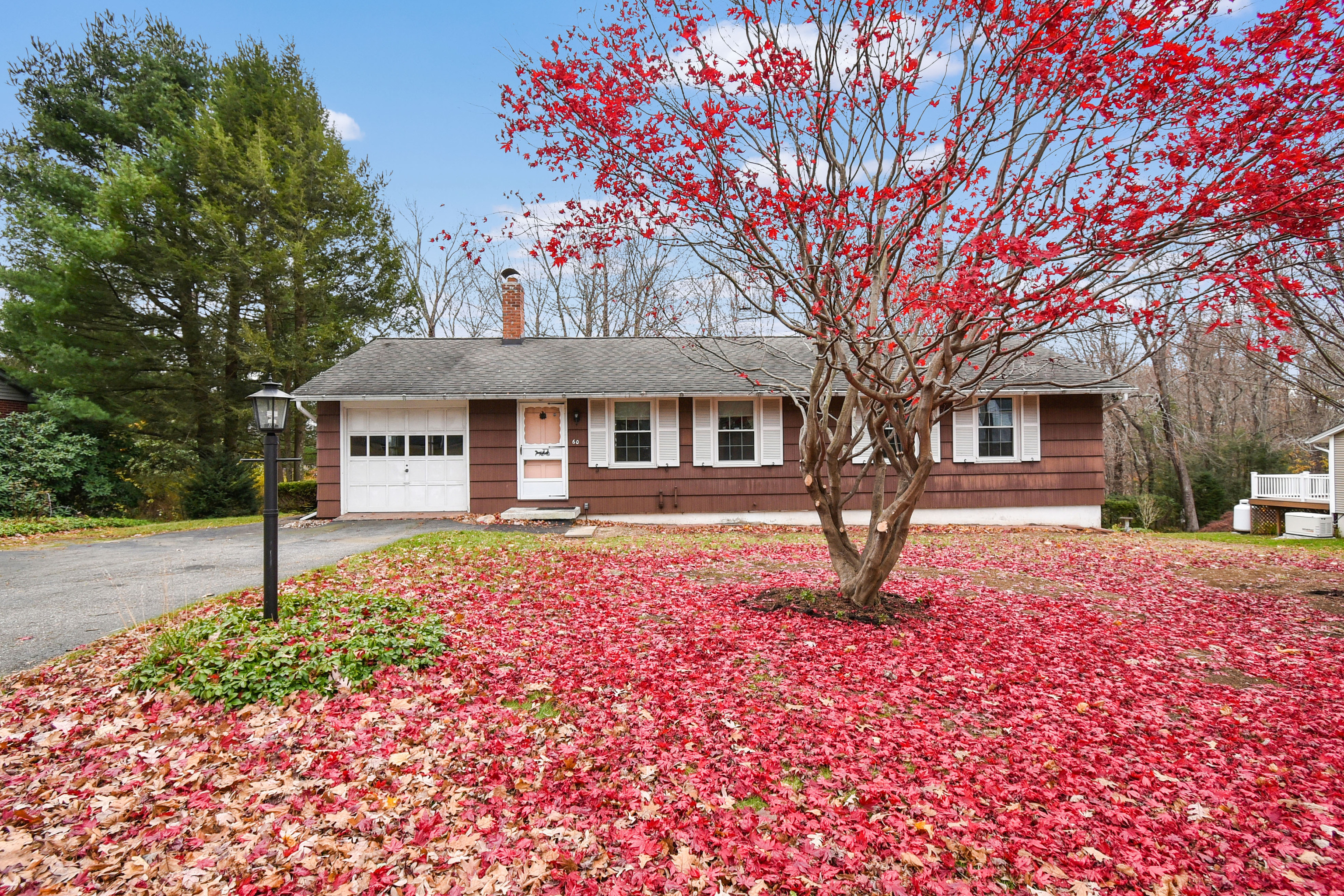 a house with lots of trees