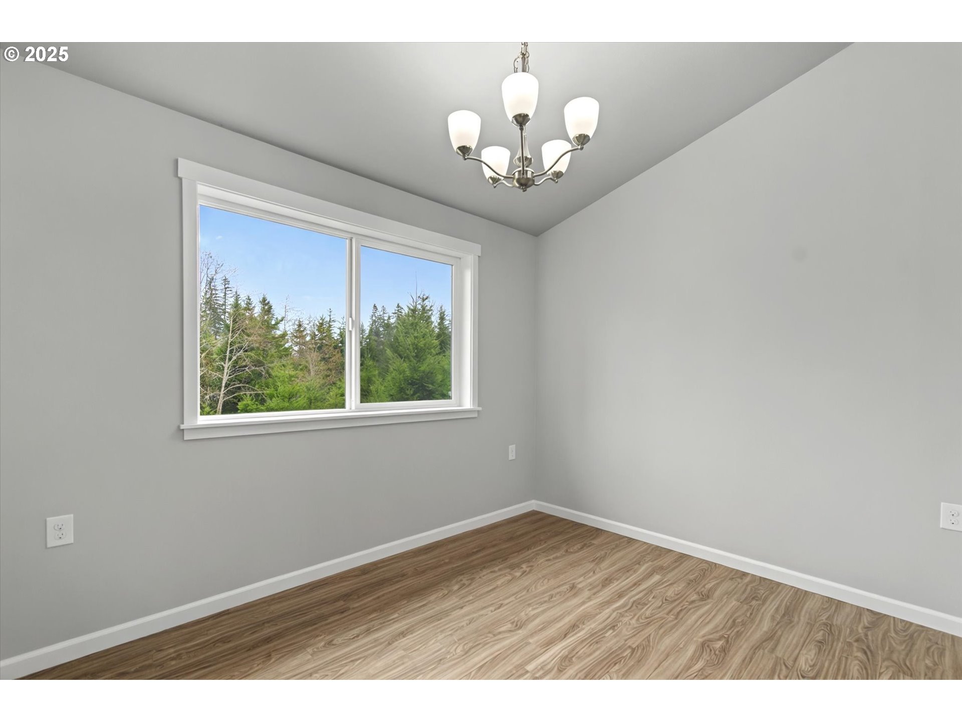 150 Jim's View Road Silverlake, WA 98645 - Photo 21 of 48 Gallery Image 21
