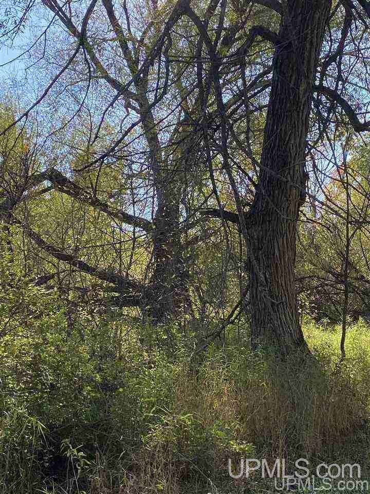 T-wi Wi 54534 Road Hurley, WI 54534 - Photo 22 of 35