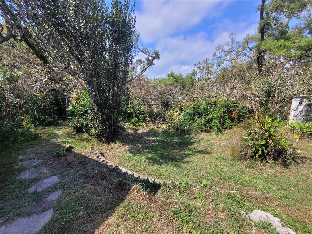 5203 Presidential Street Seffner, FL 33584 - Photo 19 of 21 a big yard with lots of green space