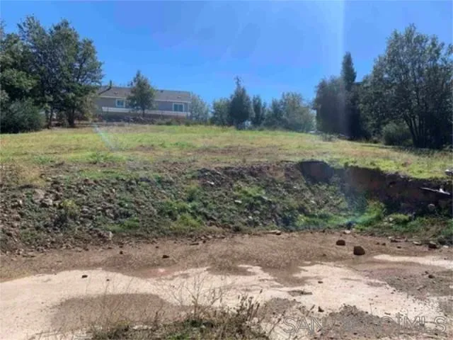 17461 Harrison Park Road, Unit 5 Julian, CA 92036 - Photo 6 of 22 a view of a field with trees in the background