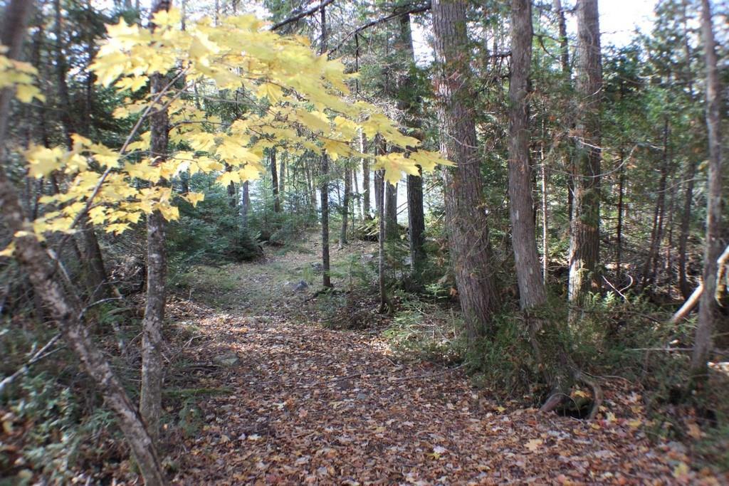 43 A Emery Road New Limerick, ME 04761 - Photo 31 of 35 Photo