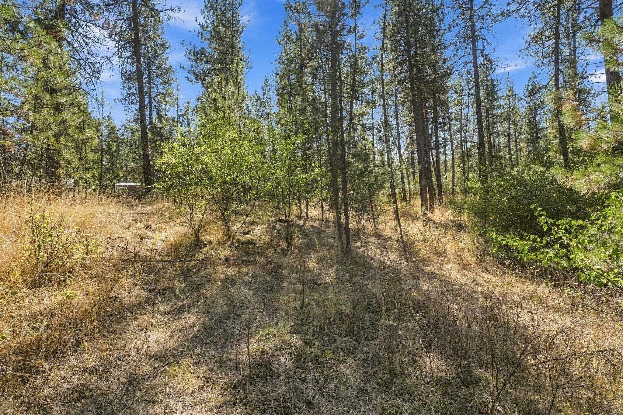 Xxx West Thorpe Road Spokane, WA 99224 - Photo 8 of 15 Gallery Image 8