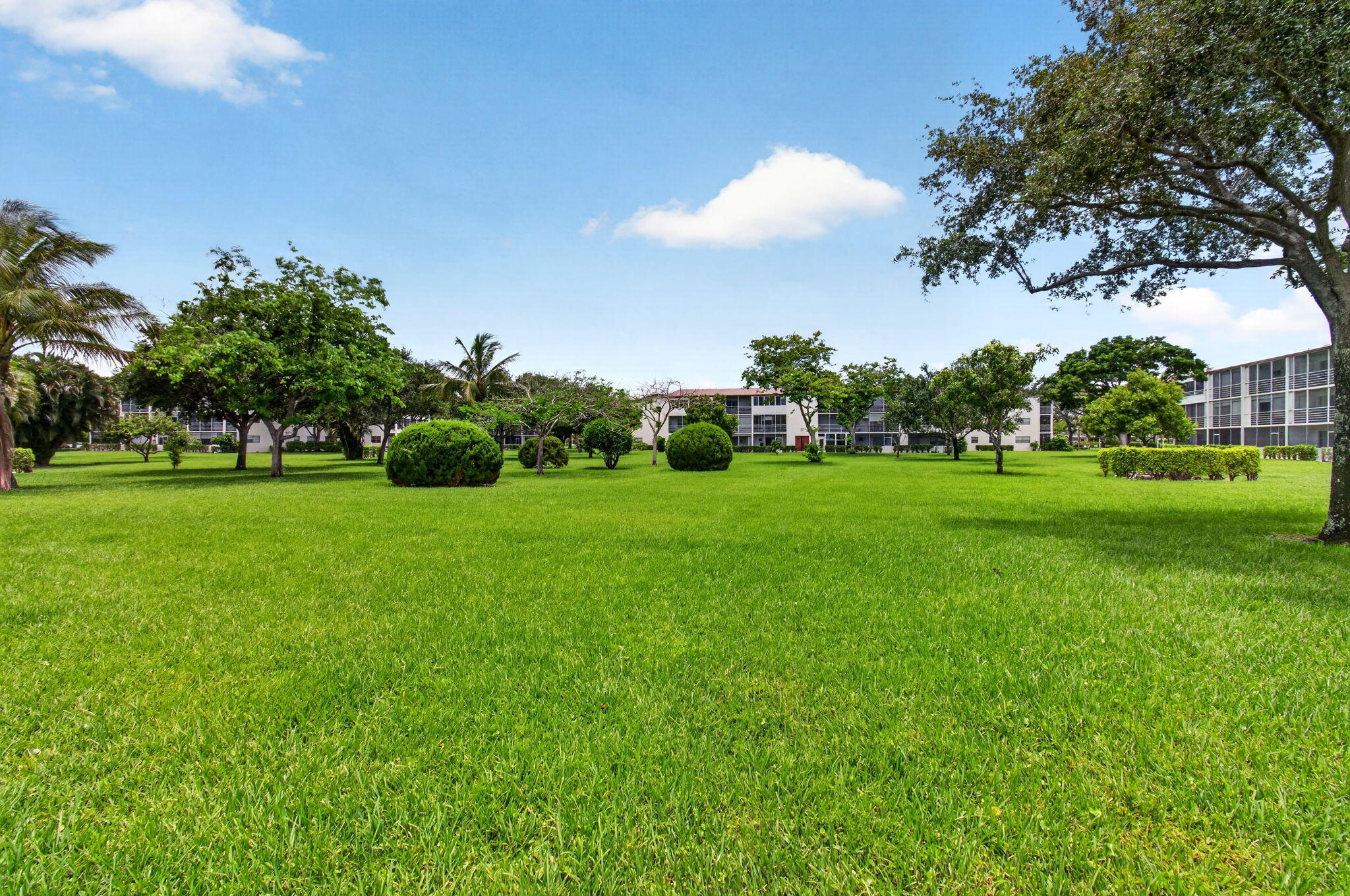 374 Brighton I, Unit 374 Boca Raton, FL 33434 - Photo 40 of 83 Backyard from the Building