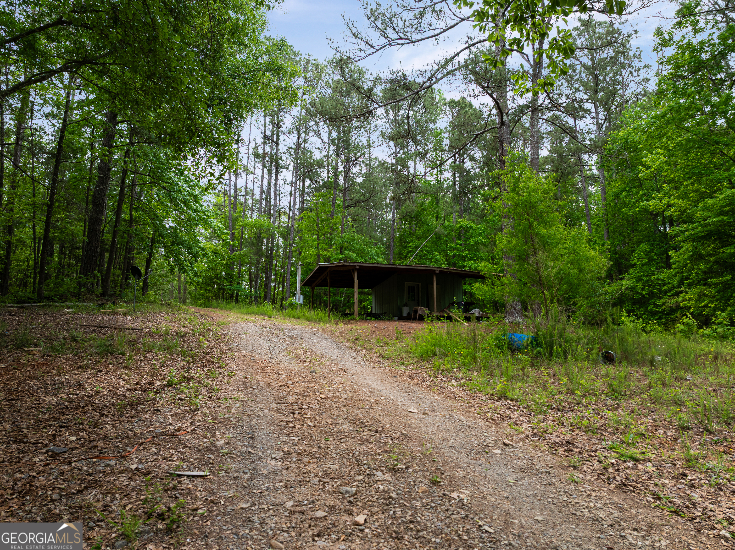 618 Liberty Hill Road Milner, GA 30257 - Photo 13 of 36