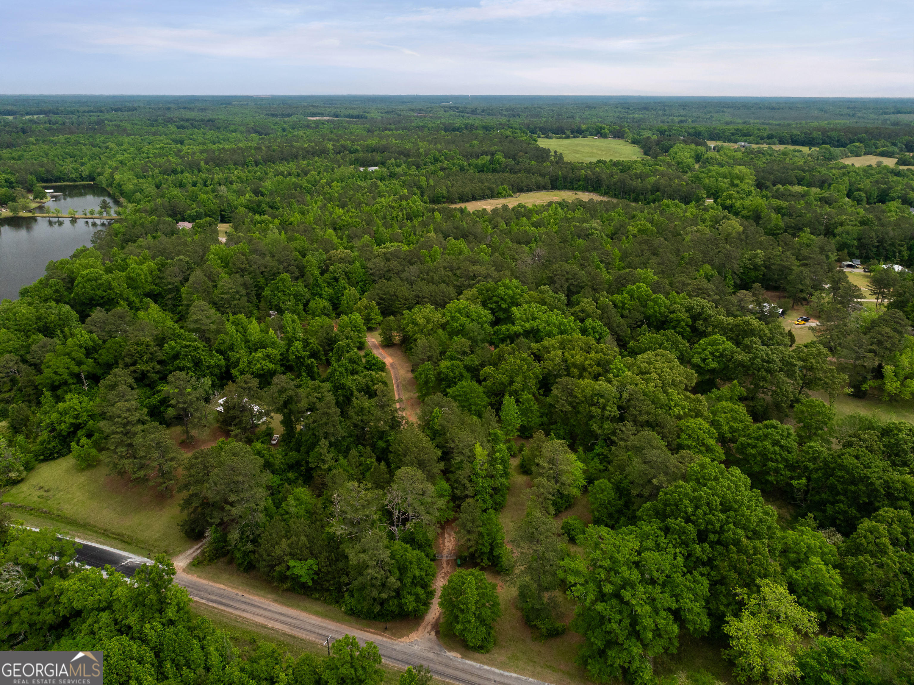 618 Liberty Hill Road Milner, GA 30257 - Photo 6 of 36