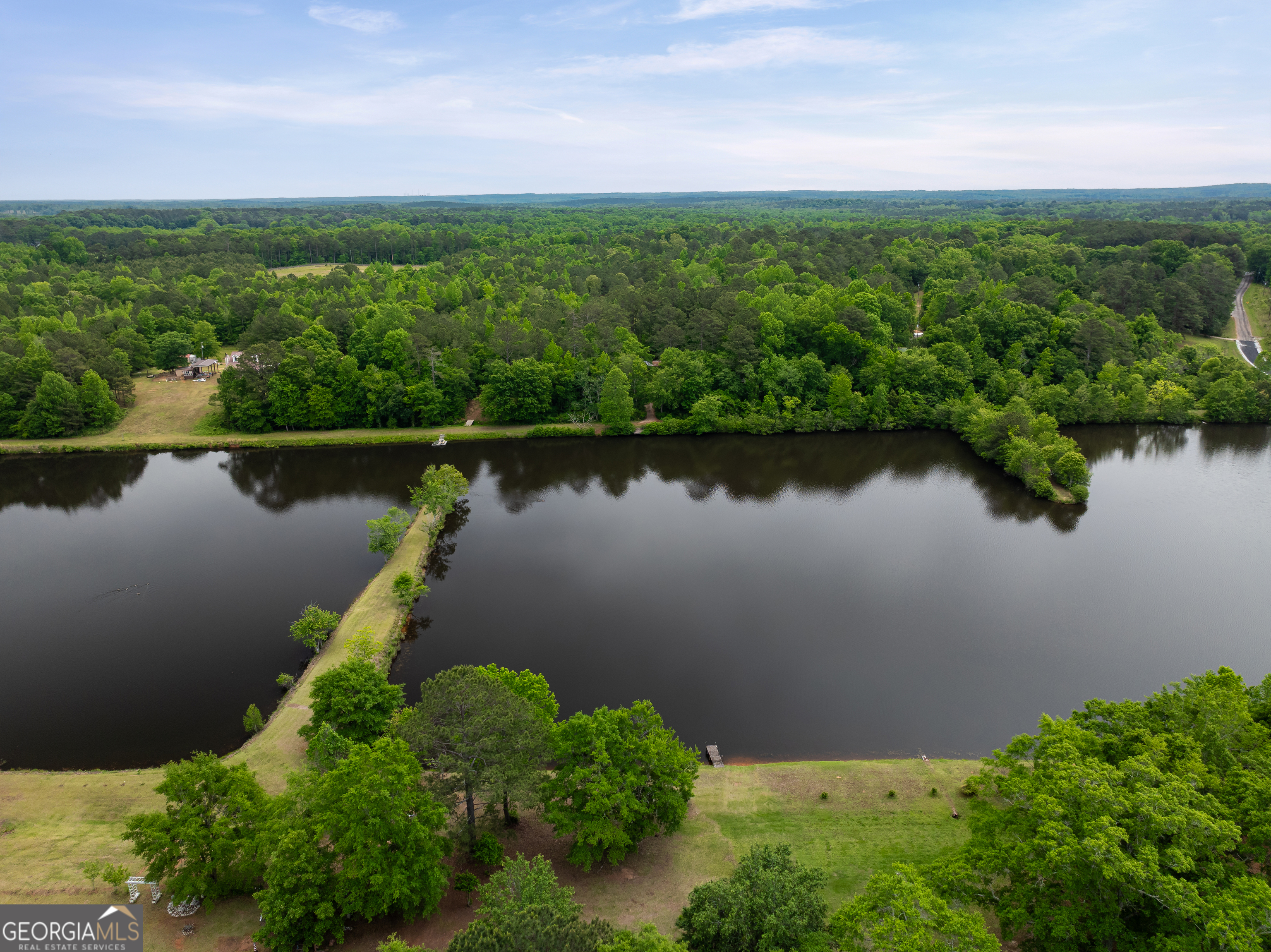 618 Liberty Hill Road Milner, GA 30257 - Photo 10 of 36