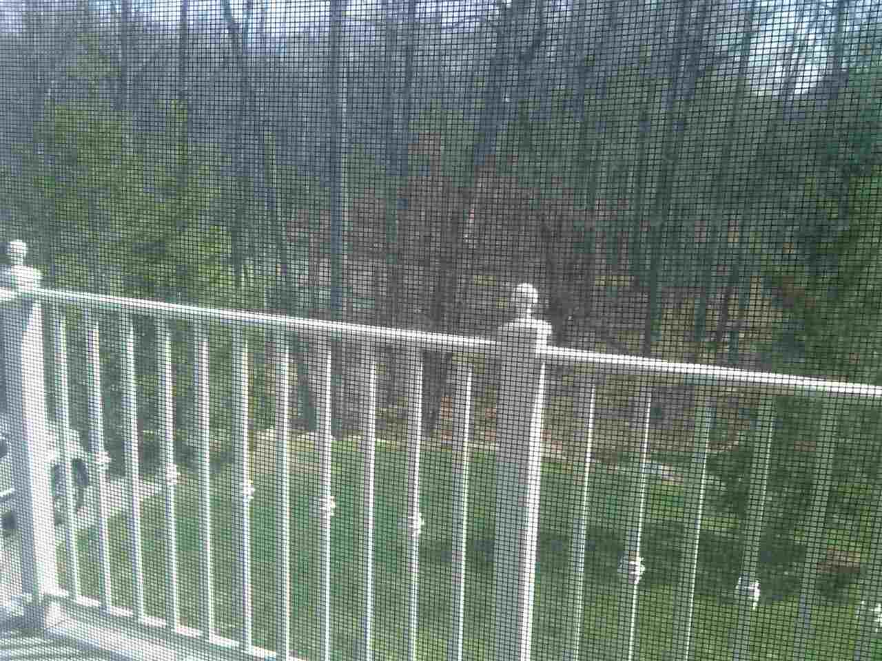 3627 Tremonte Circle Rochester, MI 48306 - Photo 6 of 13 Beautiful View!