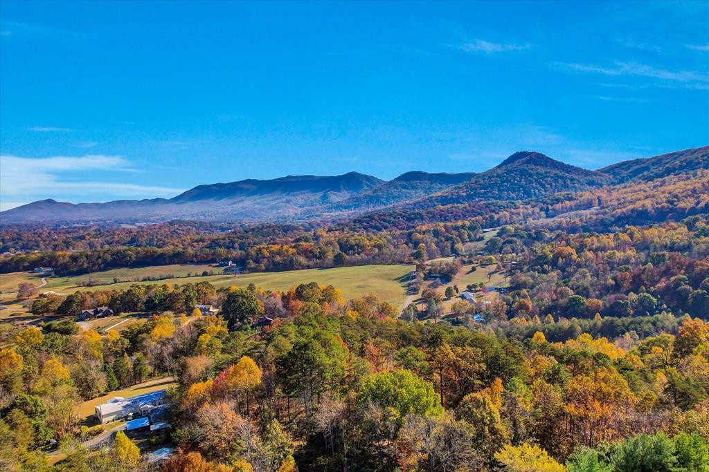 3786 Thomas Cross Road Sevierville, TN 37876 - Photo 3 of 70 Gallery Image 3