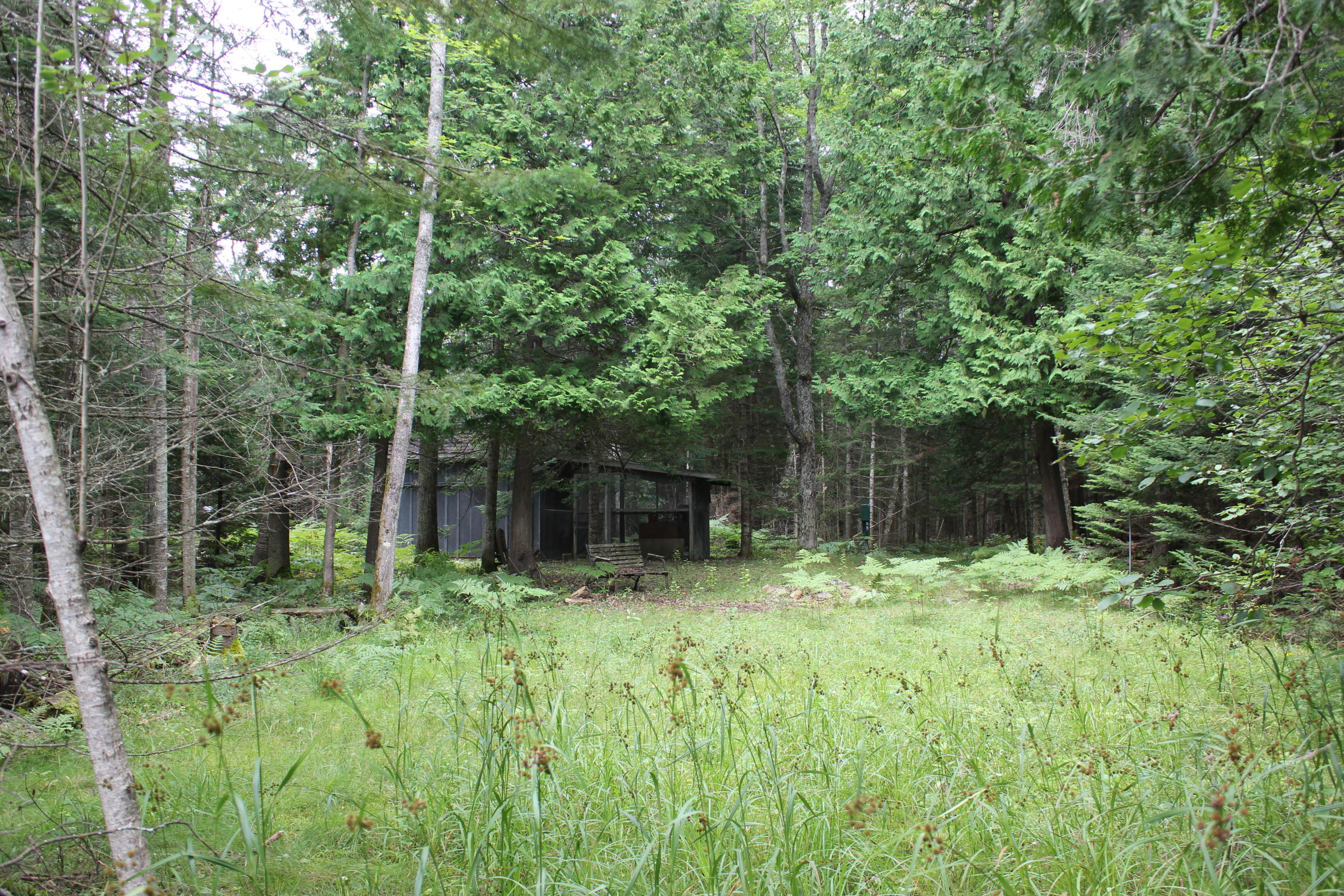 Snoopy Lane Frederic, MI 49733 - Photo 23 of 28 Gallery Image 23