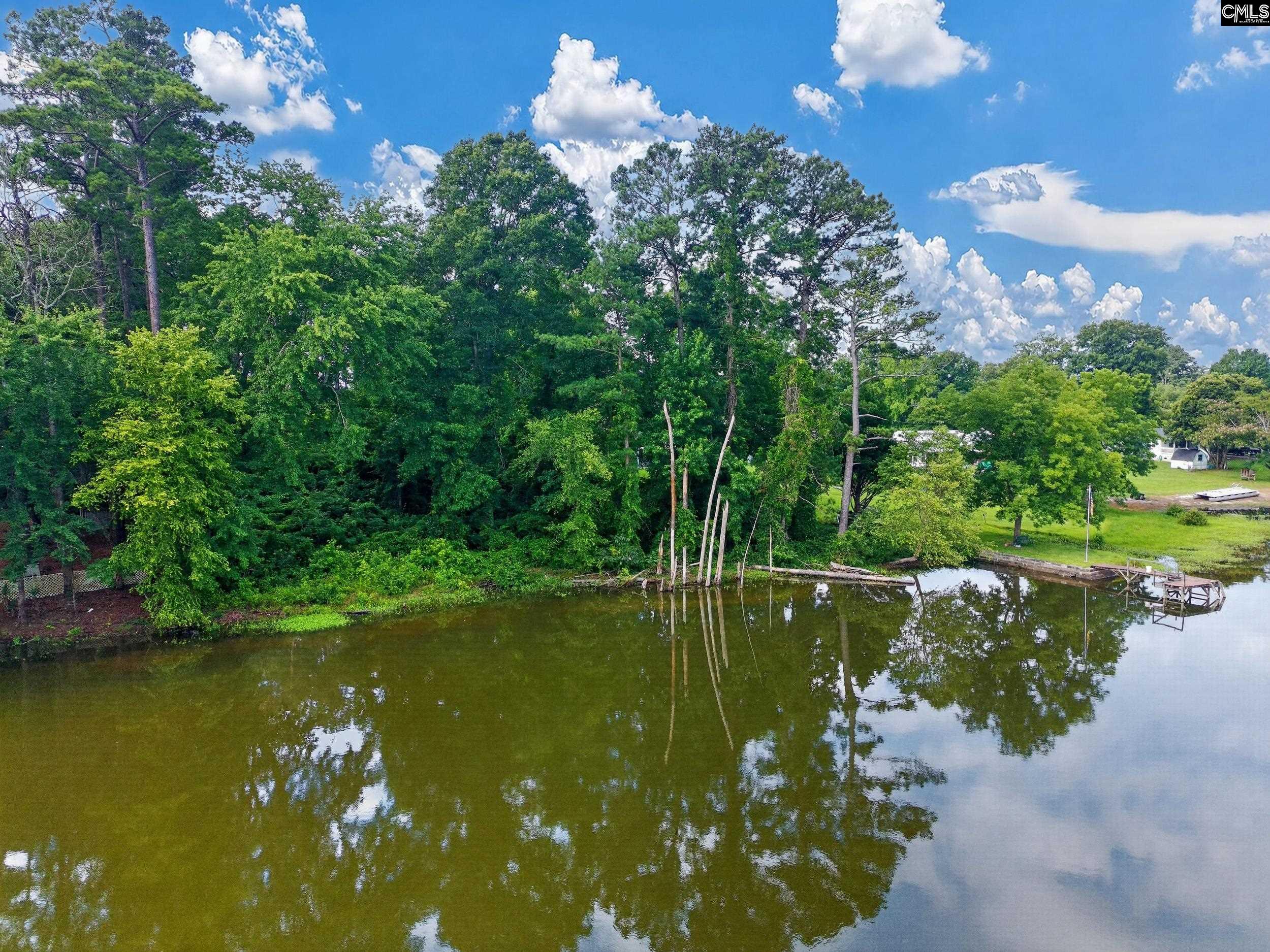 1175 Tailers Trail Prosperity, SC 29127 - Photo 9 of 16