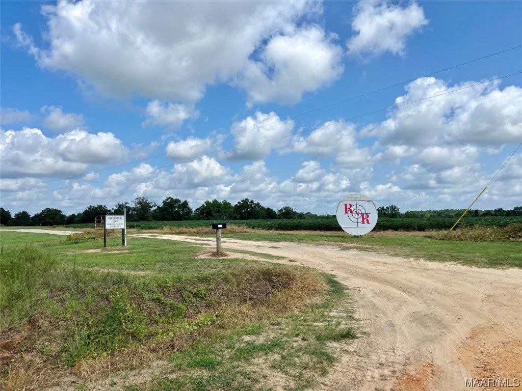 318.5-acre Goose Hollow Road Geneva, AL 36340 - Photo 17 of 50 Gallery Image 17