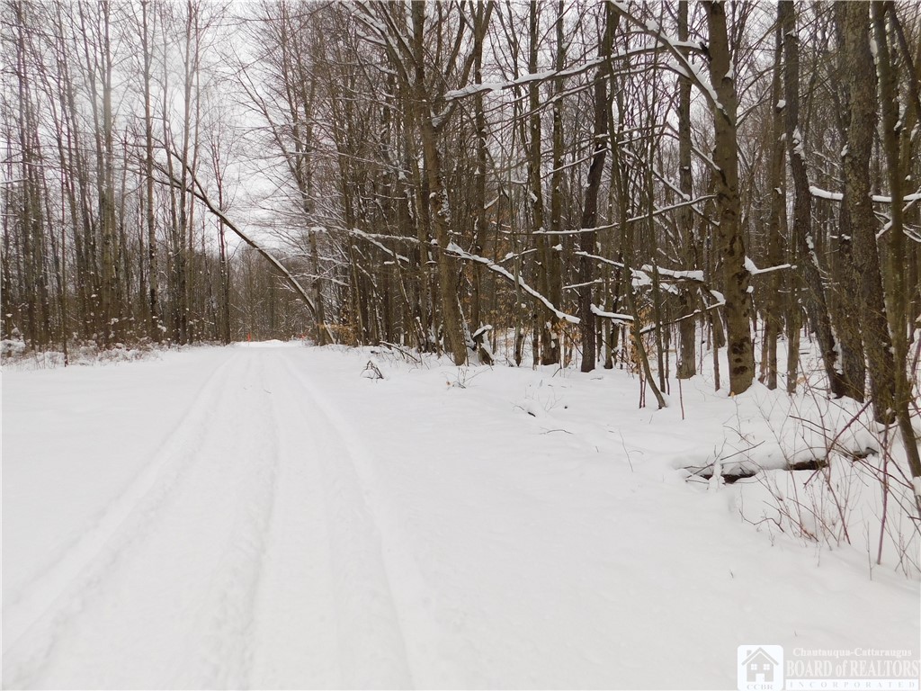 0 South Mead Road Jamestown, NY 14701 - Photo 1 of 1