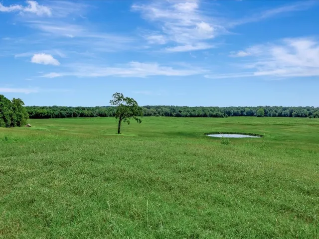$3,490,000 | 1811 Caspers Cove Road, Lufkin, TX 75904
