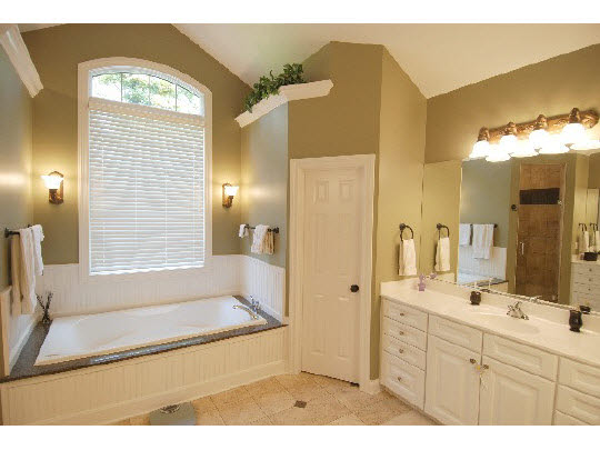 12737 Ashfield Road Caledonia, IL 61011 - Photo 8 of 11 a bathroom with a tub a sink and a large mirror