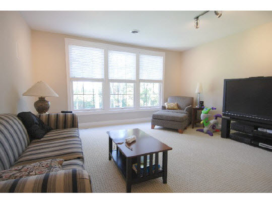 12737 Ashfield Road Caledonia, IL 61011 - Photo 9 of 11 a living room with furniture and a flat screen tv