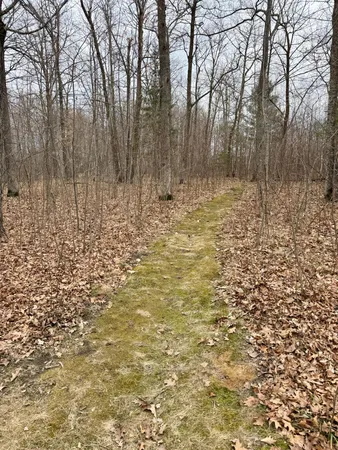 $389,000 | 6818 18th Avenue Northwest, Walker, MN 56484