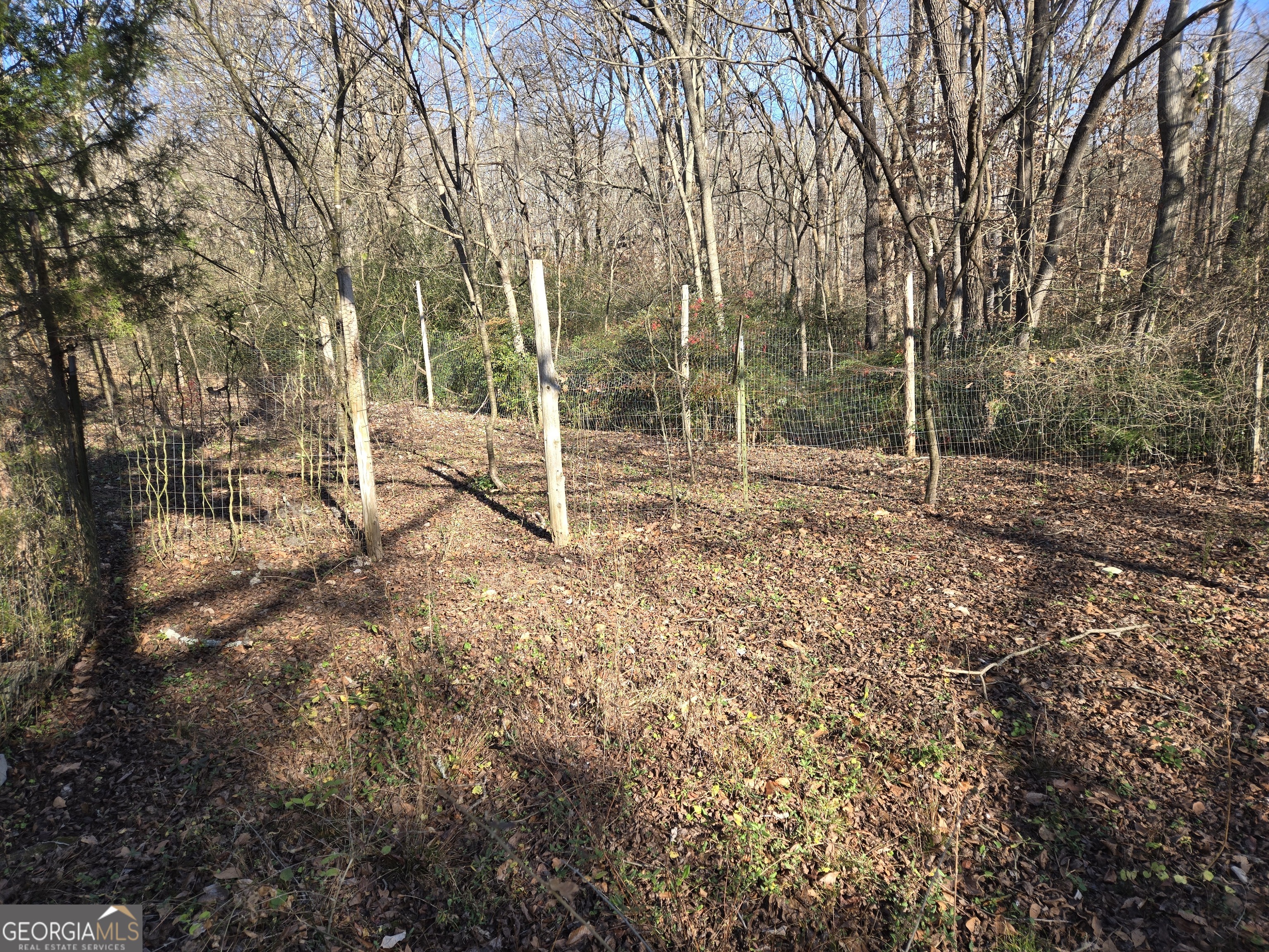 646 Walters Road Lavonia, GA 30553 - Photo 7 of 14 a view of backyard with green space