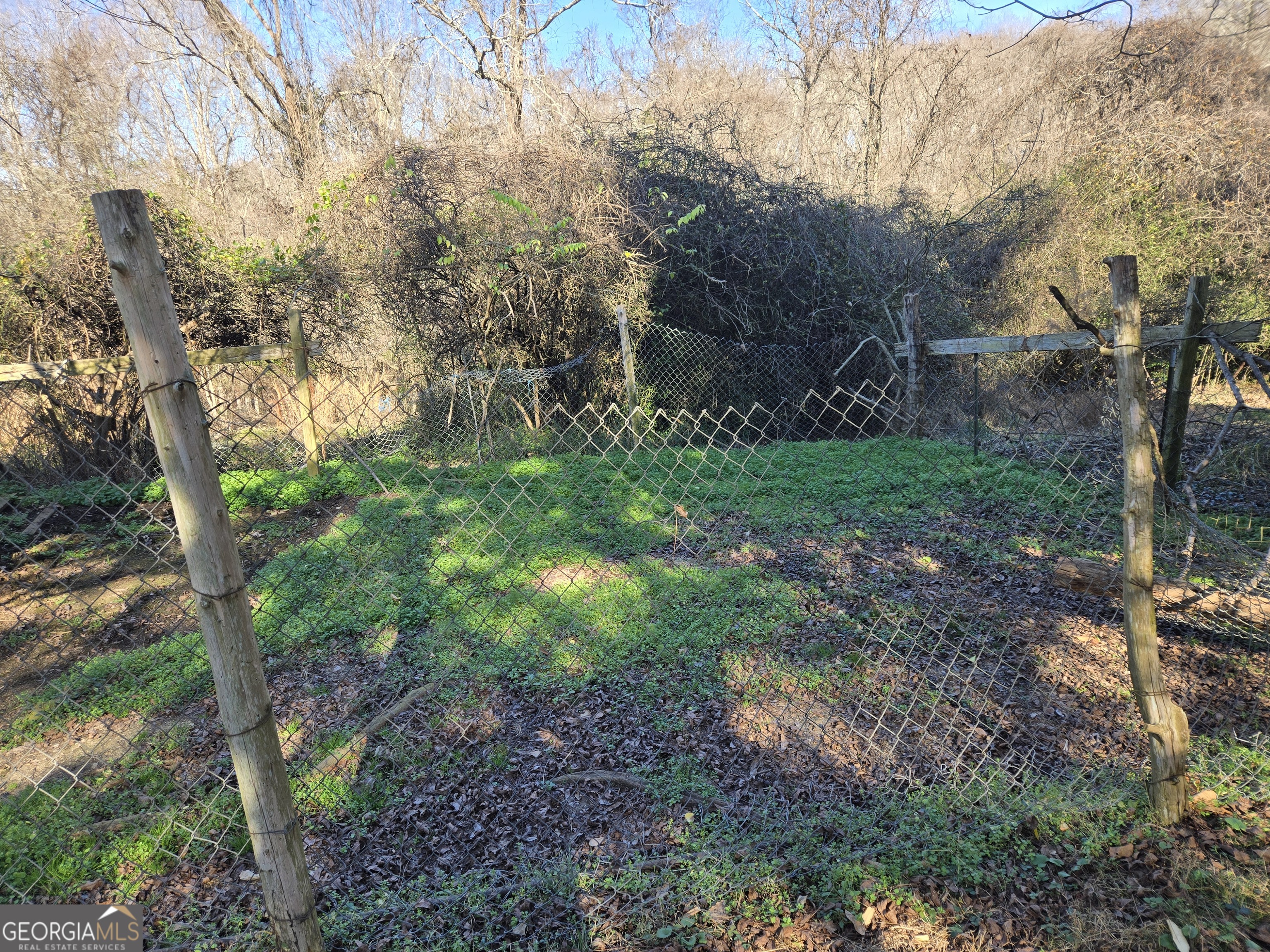 646 Walters Road Lavonia, GA 30553 - Photo 9 of 14 a view of a forest filled with trees