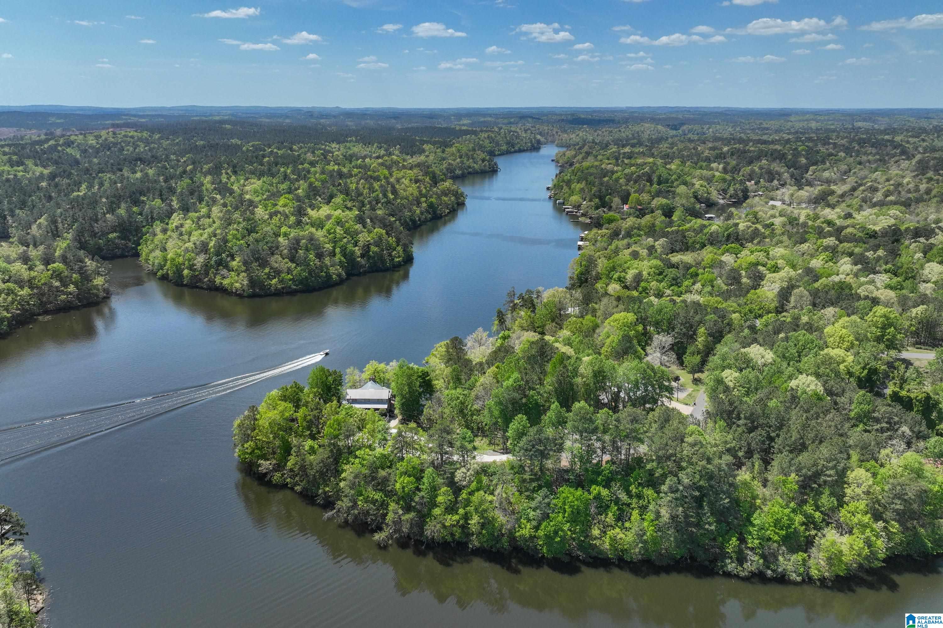 358 Ridge Drive Shelby, AL 35143 - Photo 68 of 94