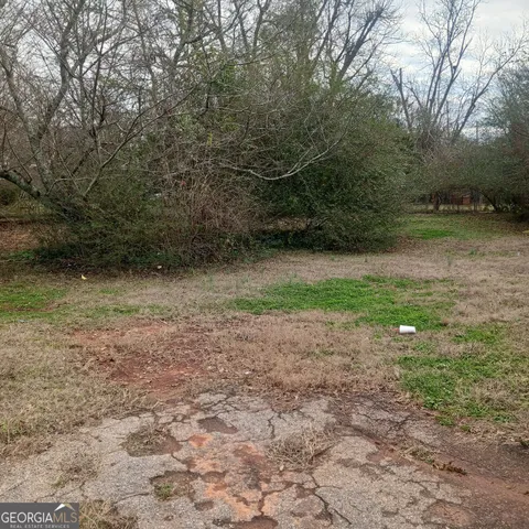 a view of backyard of the house