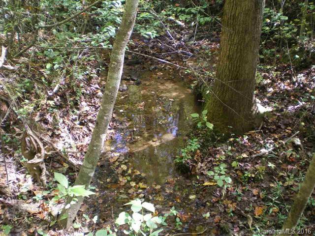 0 Mamie Hamilton Road Bostic, NC 28018 - Photo 2 of 8