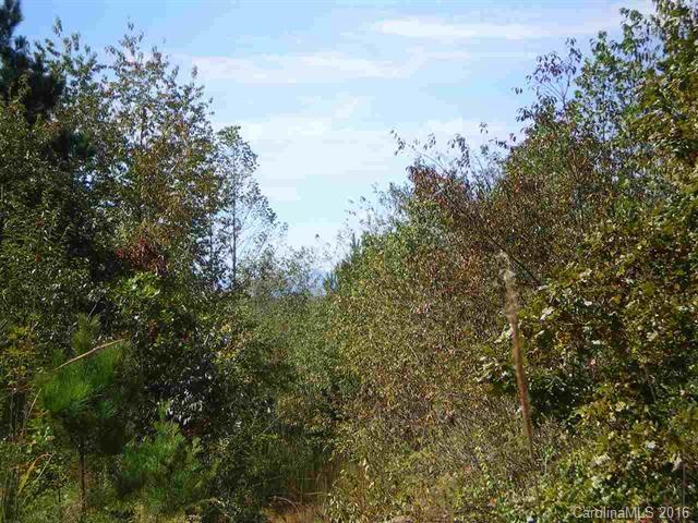 0 Mamie Hamilton Road Bostic, NC 28018 - Photo 3 of 8