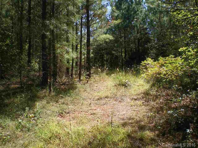 0 Mamie Hamilton Road Bostic, NC 28018 - Photo 4 of 8