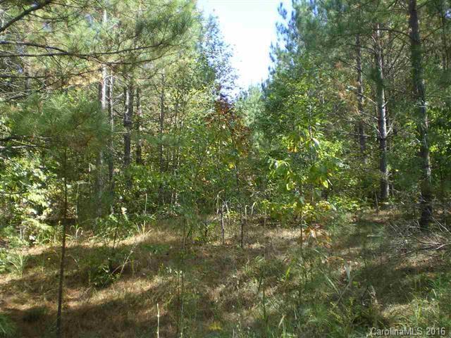 0 Mamie Hamilton Road Bostic, NC 28018 - Photo 5 of 8