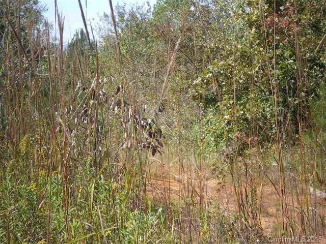 0 Mamie Hamilton Road Bostic, NC 28018 - Photo 6 of 8