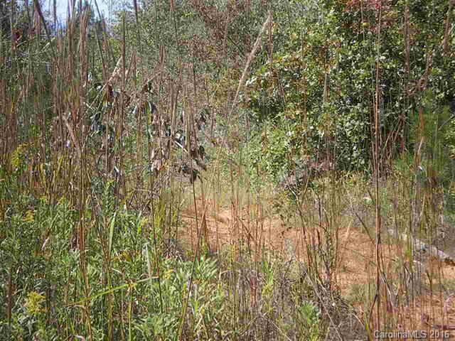 0 Mamie Hamilton Road Bostic, NC 28018 - Photo 7 of 8