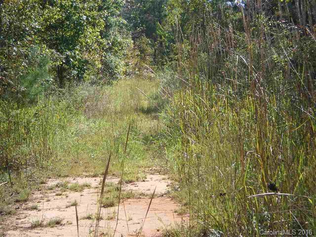 0 Mamie Hamilton Road Bostic, NC 28018 - Photo 8 of 8