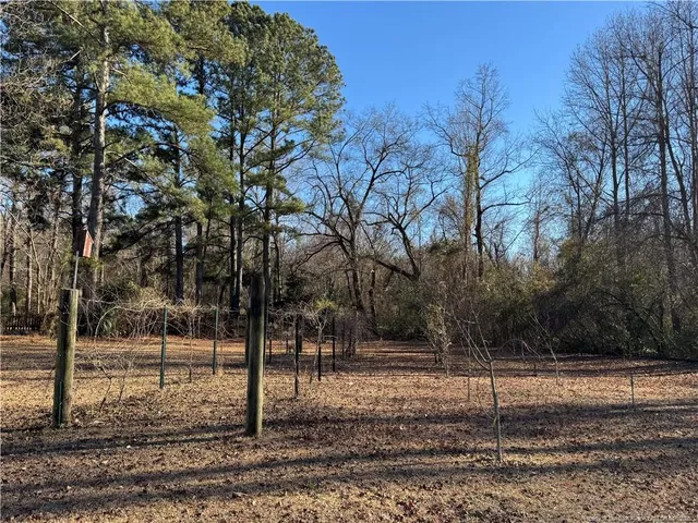 a view of a park with large trees