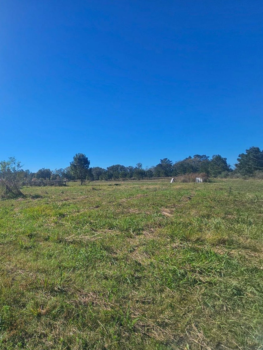 0 Boros Road Elberta, AL 36530 - Photo 1 of 1