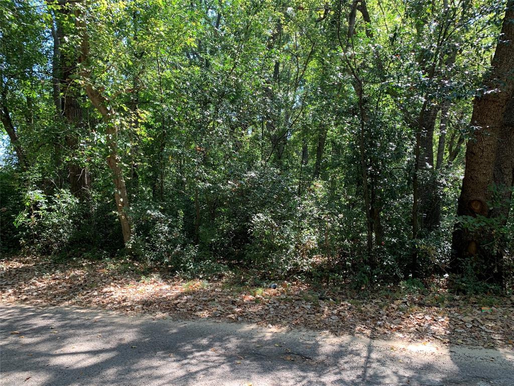 516 Chase Street Athens, TX 75751 - Photo 1 of 9 a view of a forest with trees in the background