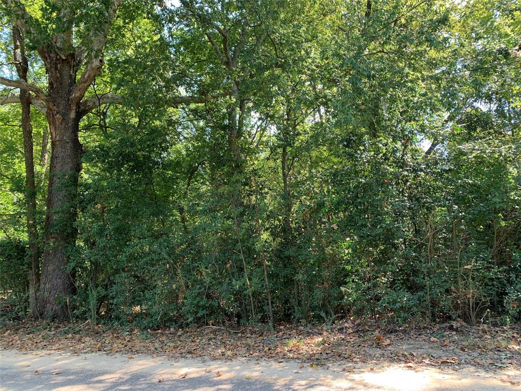516 Chase Street Athens, TX 75751 - Photo 3 of 9 a view of a forest with trees