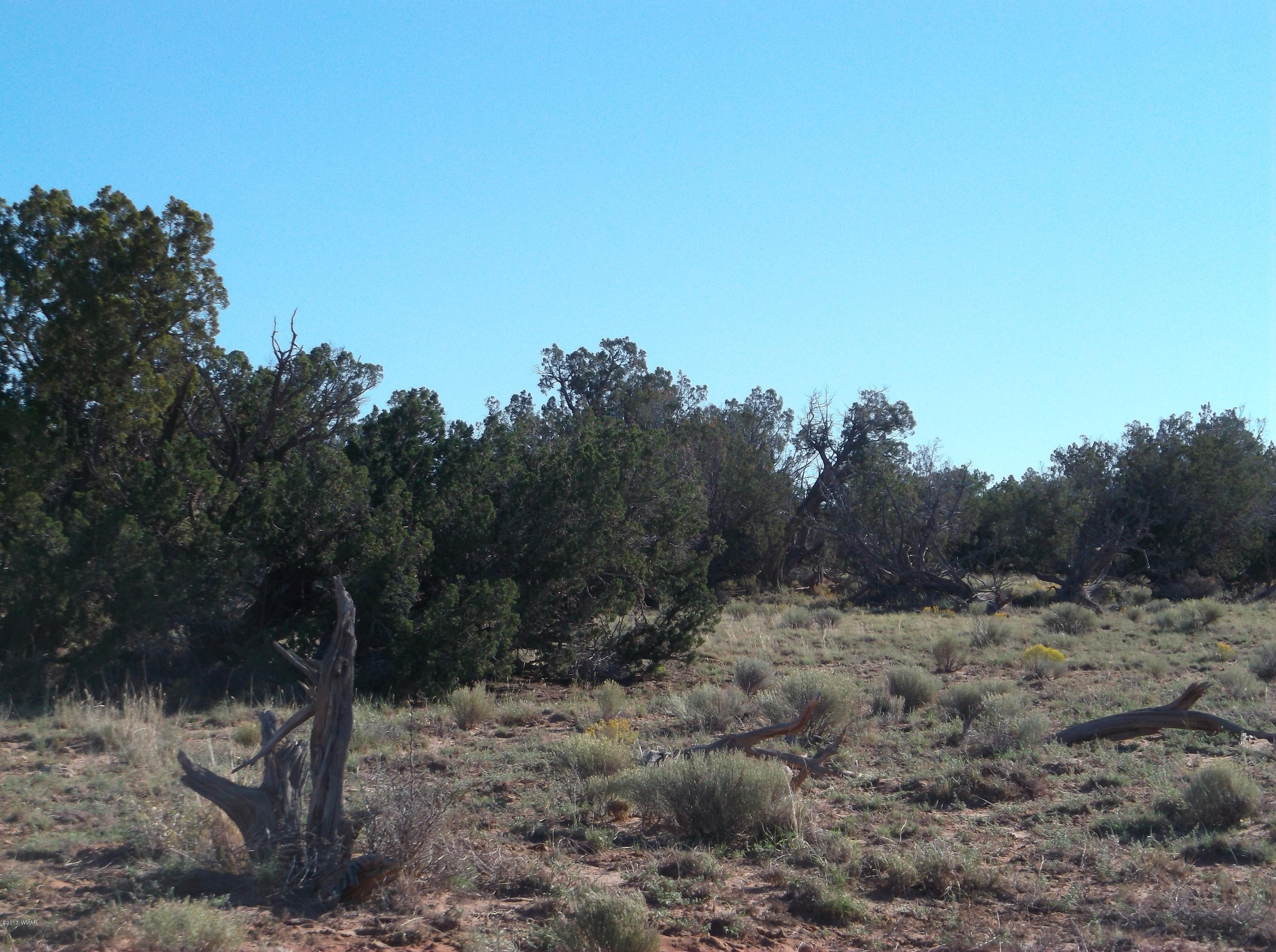 Lot 83 Witch Well Ranch St. Johns, AZ 85936 - Photo 2 of 6